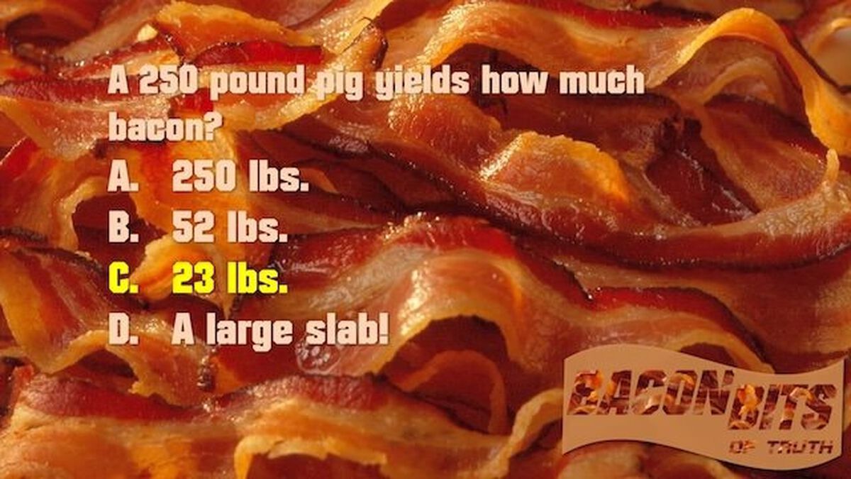 Bacon Bits of Truth (Bacon Trivia) image number null