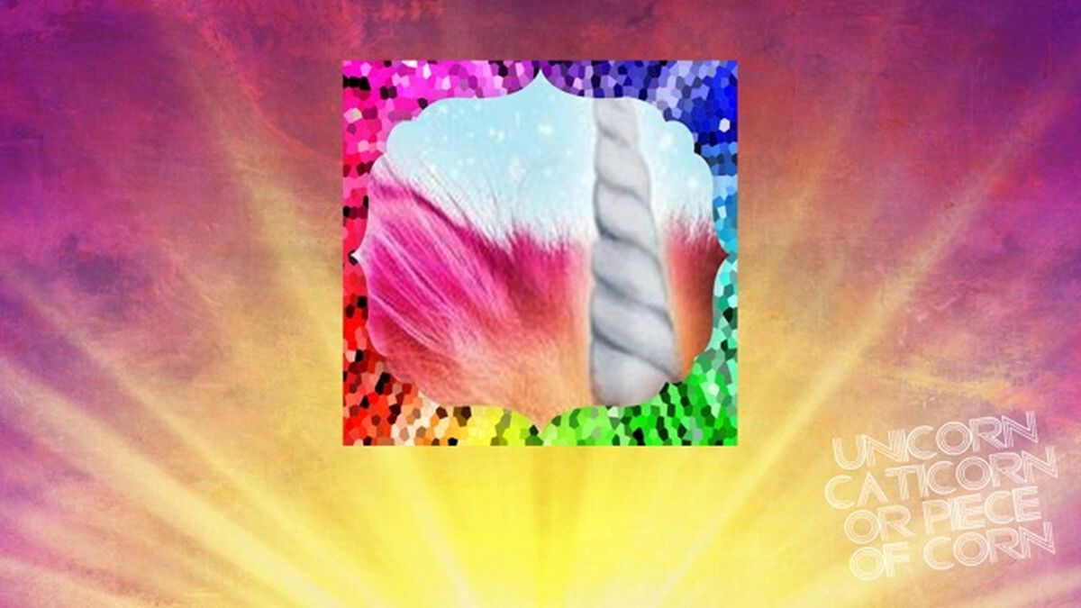 Unicorn, Caticorn, or Piece of Corn? image number null