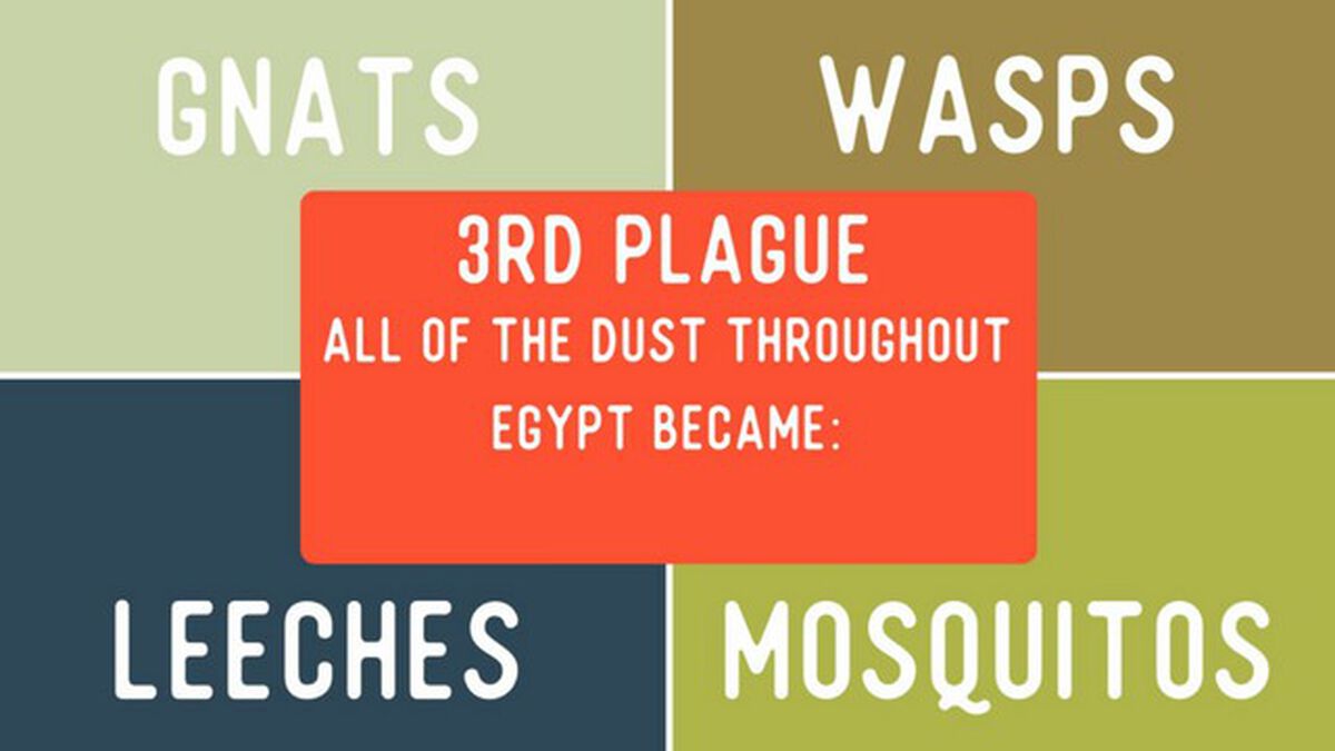 4 Corners: Plagues Edition image number null