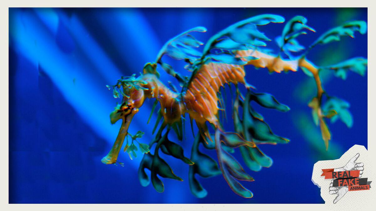 Real/Fake Animals: Volume 2  image number null