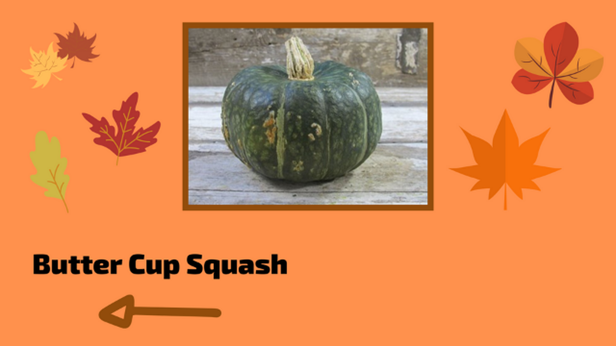 Are You Good with Gourds? image number null