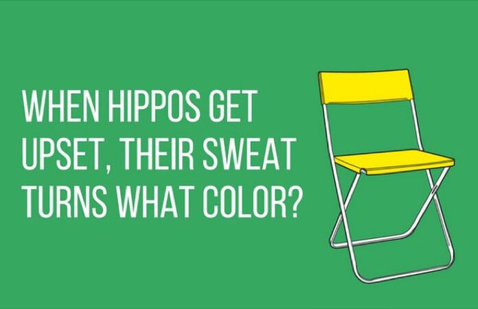 Chair Trivia: Volume 2