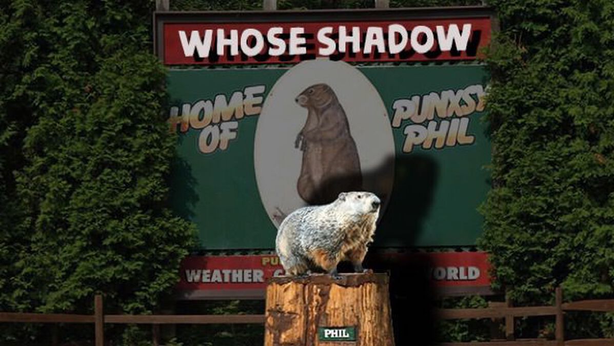 Whose Shadow: Volume 1 image number null
