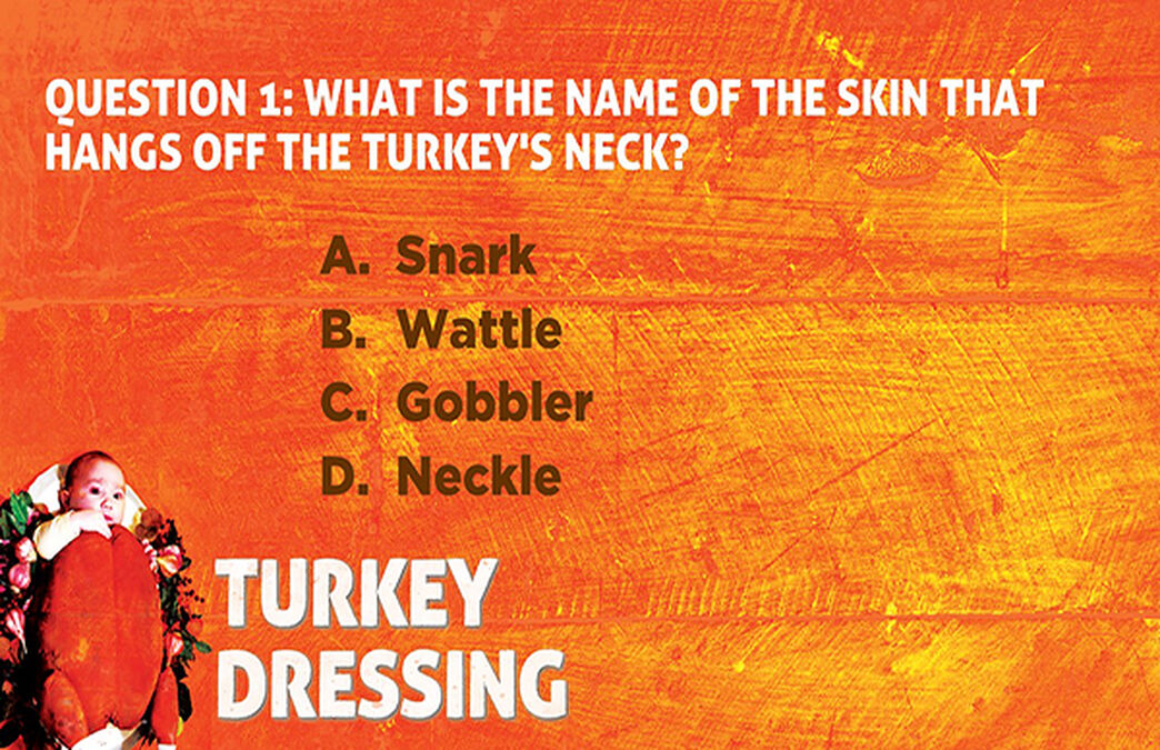Turkey Dressing image number null
