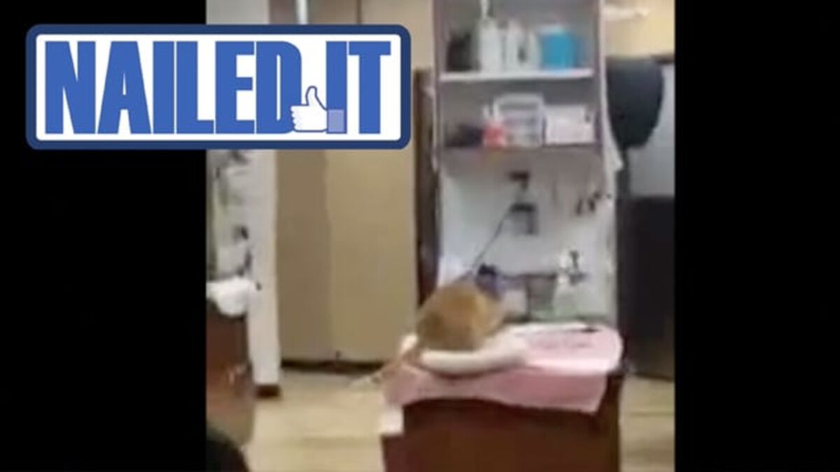 Nailed It or Failed It Cat Edition - Volume 3 image number null