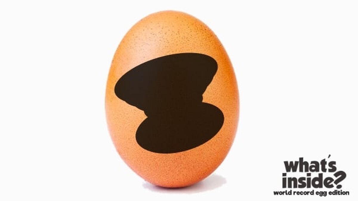 What's Inside? World Record Egg Edition image number null