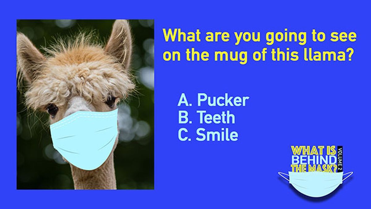 What is Behind the Mask? Game Volume 2 image number null