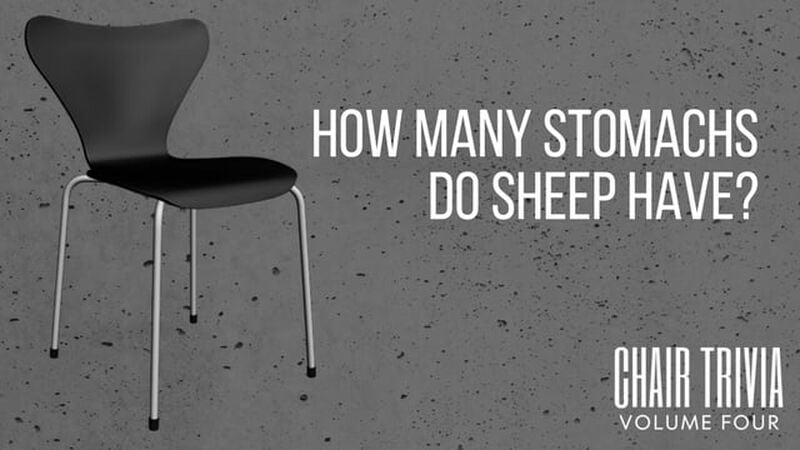 Chair Trivia Volume Four