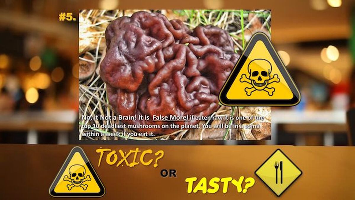 Toxic or Tasty Game image number null