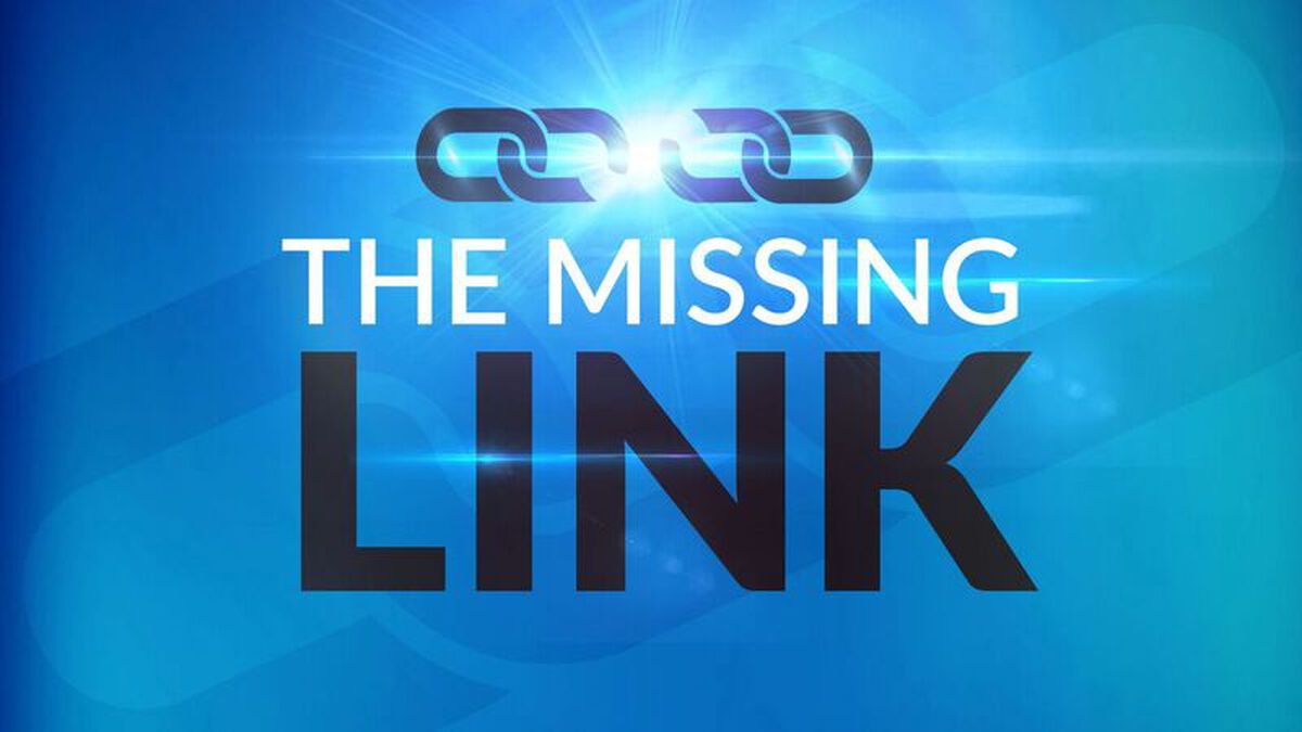 The Missing Link image number null