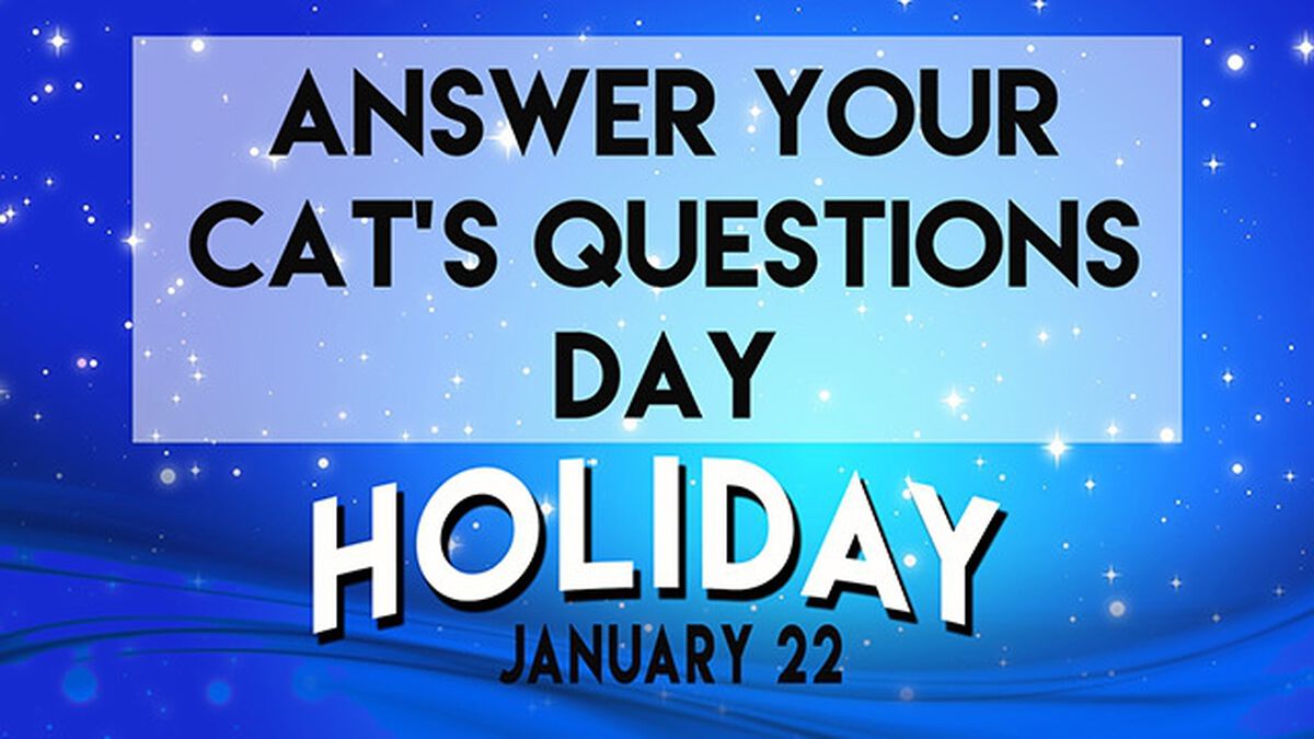 Holiday or Not a Day: January image number null