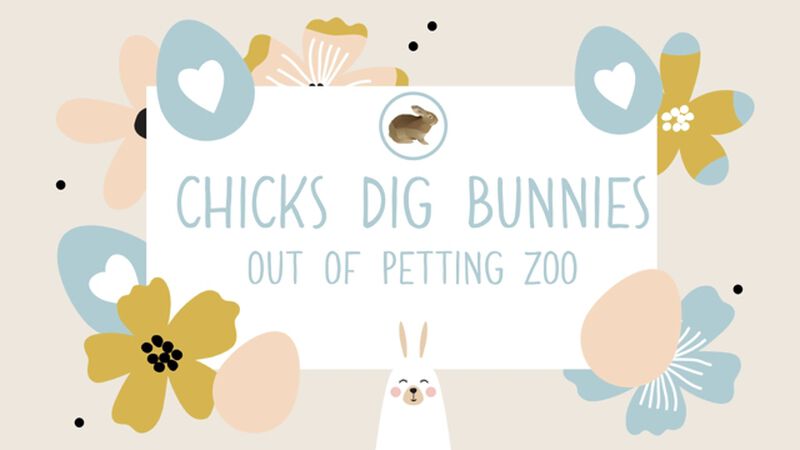 Eggstra Eggstra Read All About It