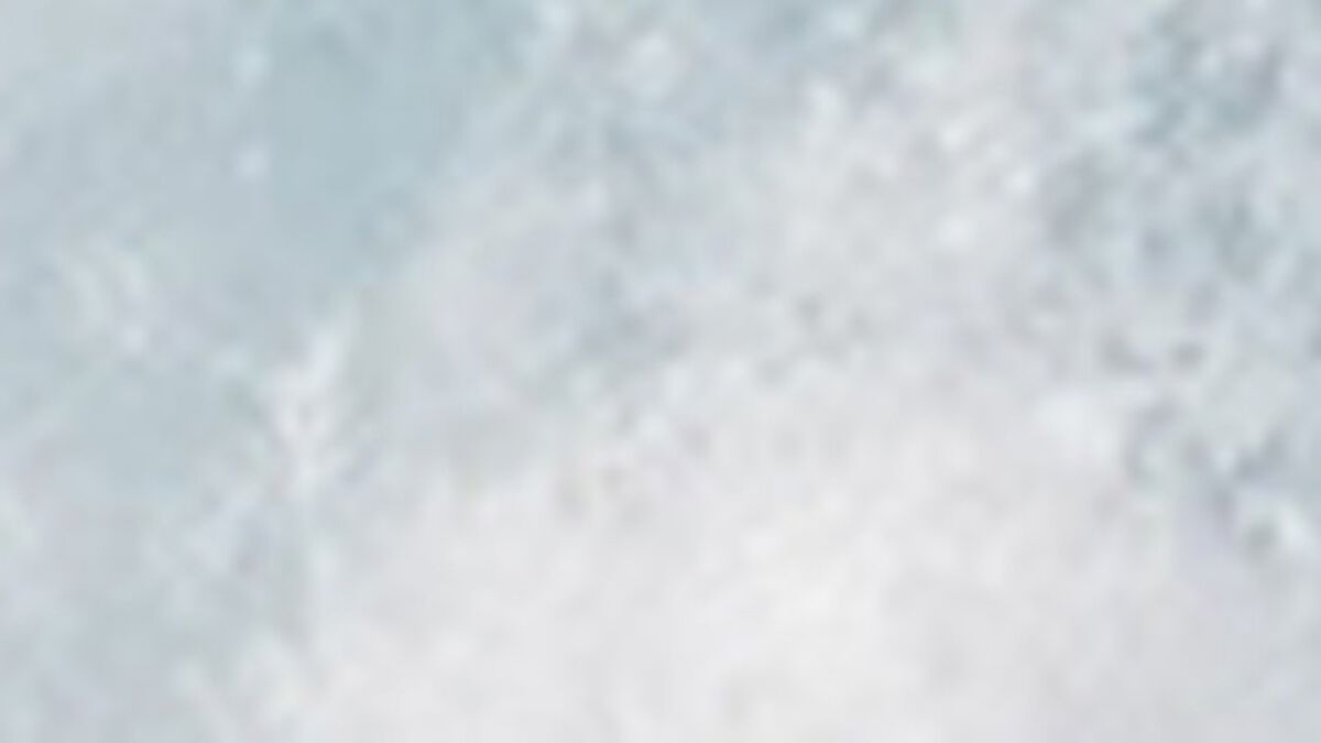 White Cap or White Out image number null