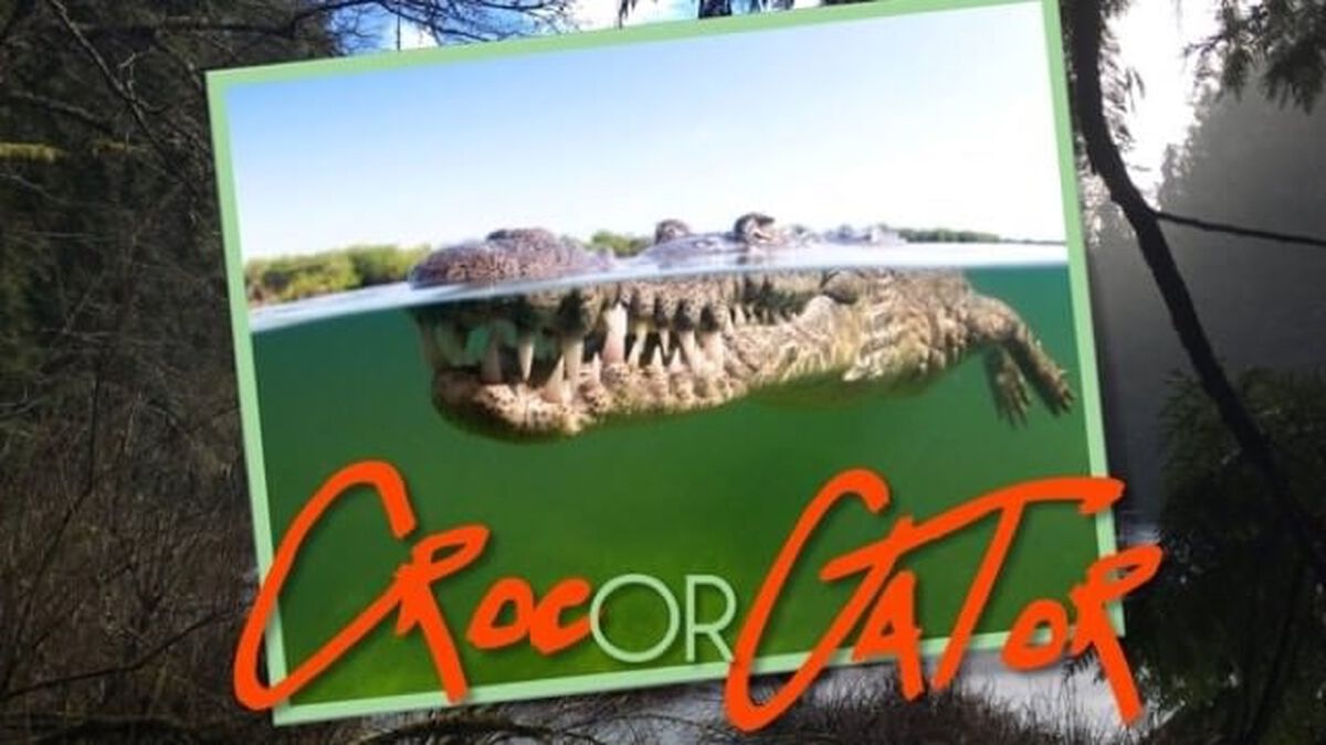 Croc or Gator image number null