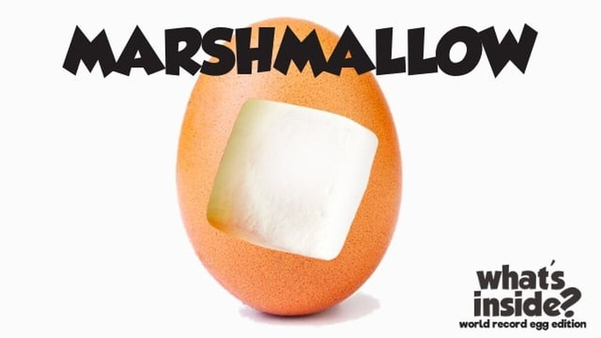 What's Inside? World Record Egg Edition image number null