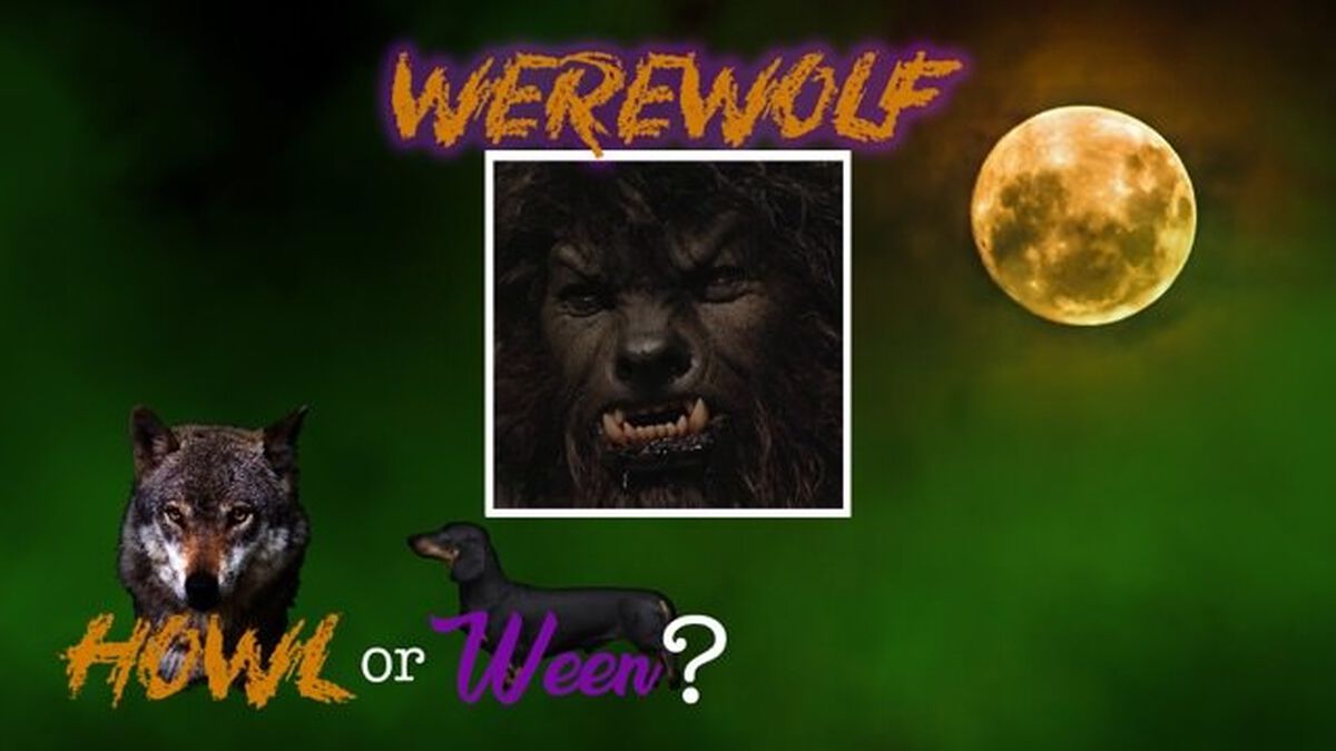 Howl or Ween image number null