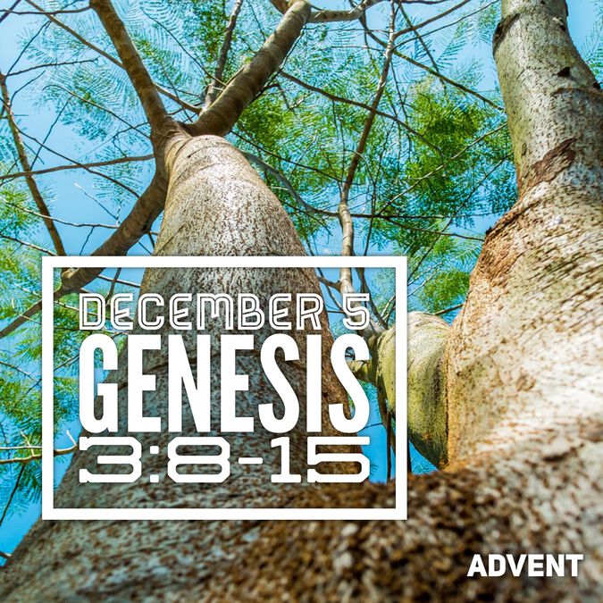 Insta-Advent image number null