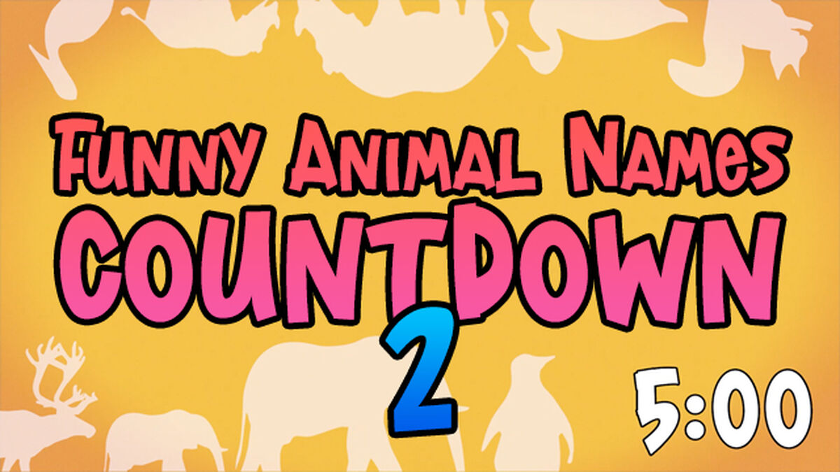 Funny Animal Names Countdown 2 | Video | Download Youth Ministry