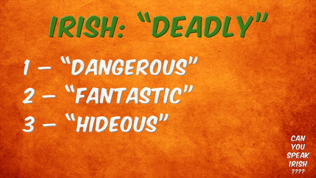 Can You Speak Irish? image number null
