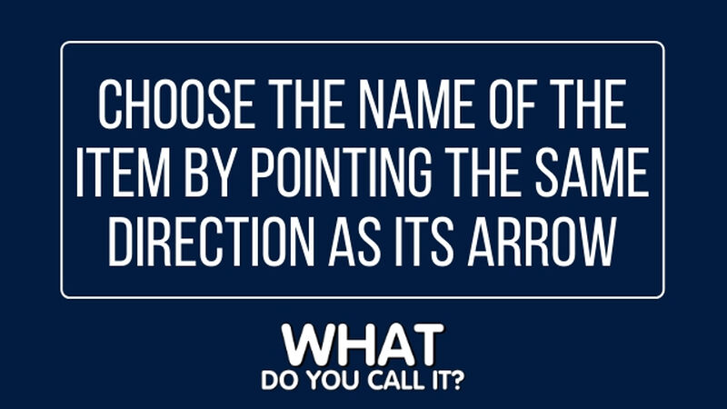 What Do You Call It?