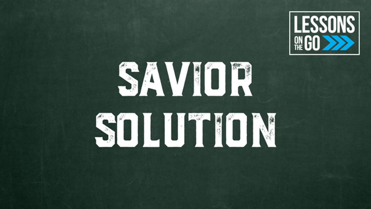 Savior Solution image number null