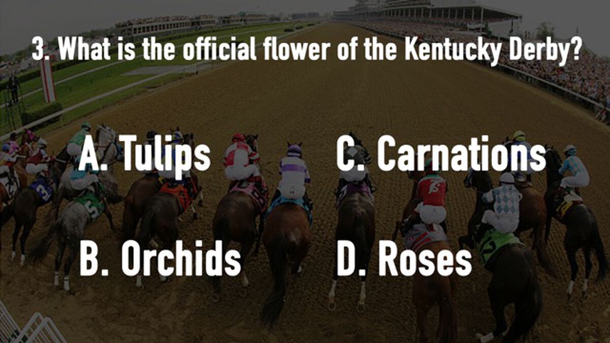 Kentucky Derby Trivia image number null