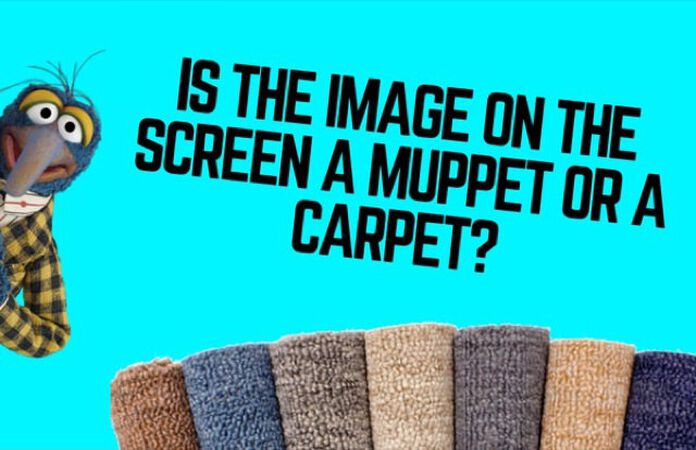 Muppet or Carpet