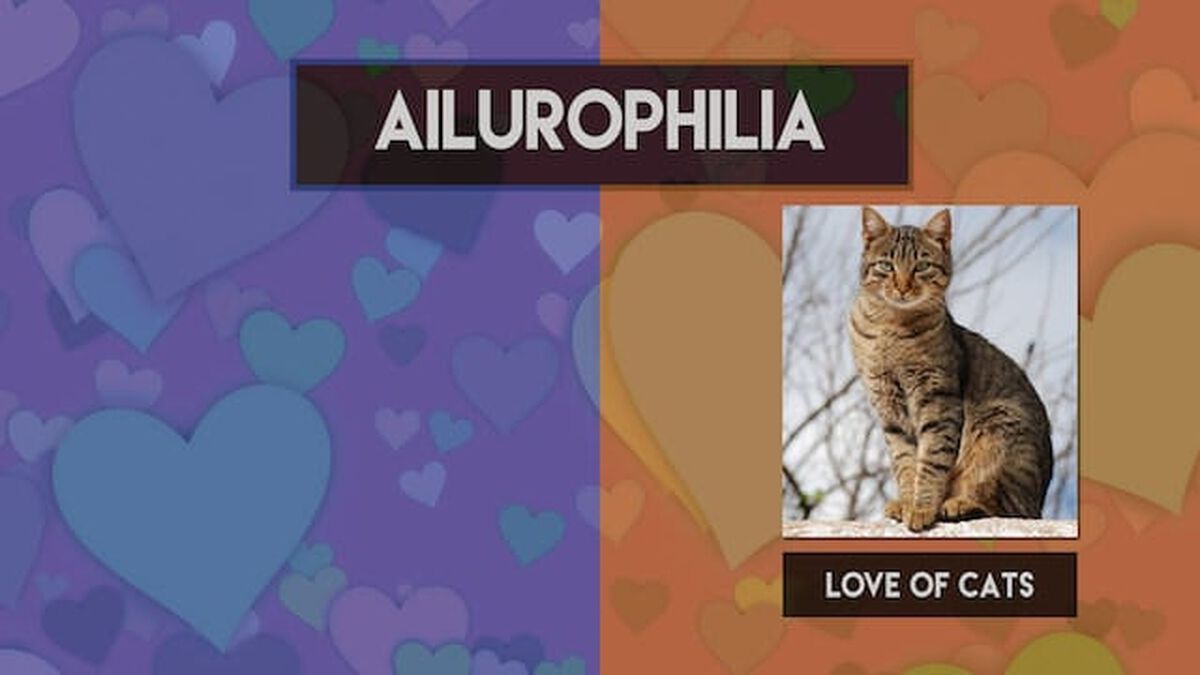 For the Love of _________. image number null