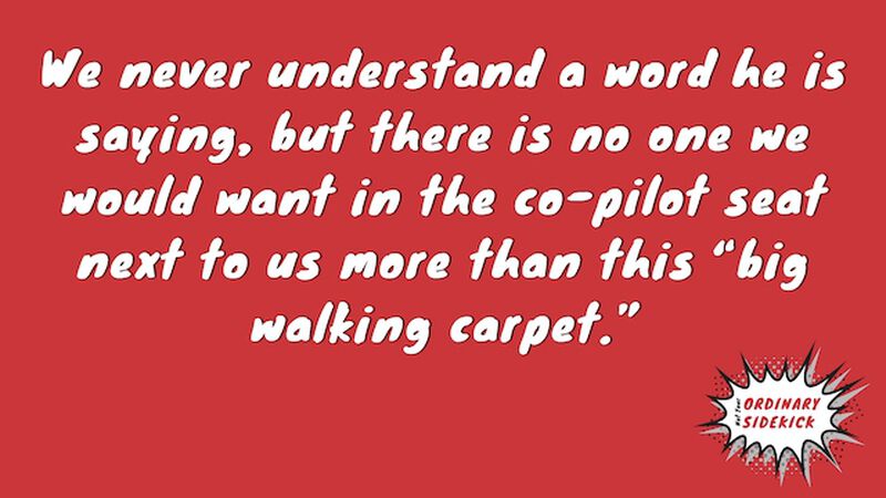 Not Your Ordinary Sidekick