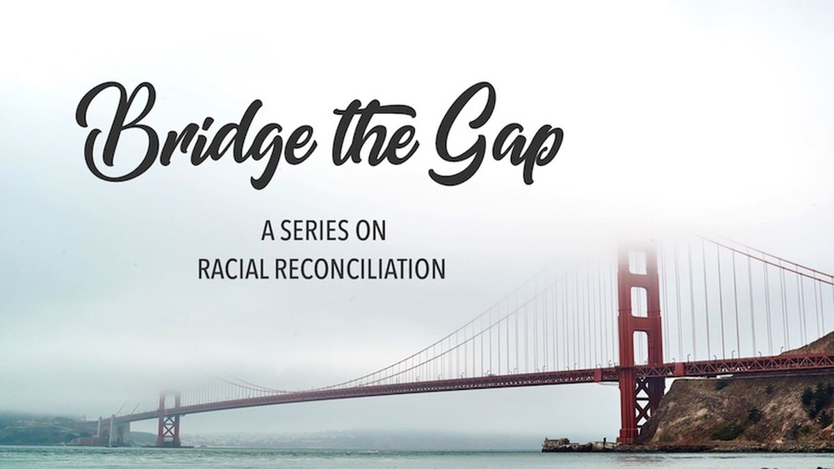 Bridge the Gap: A Series on Racial Reconciliation image number null