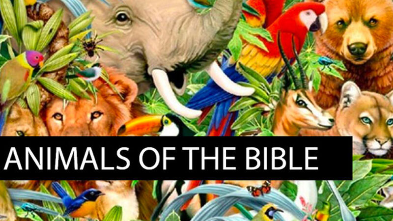Animals of the Bible: Volume 1