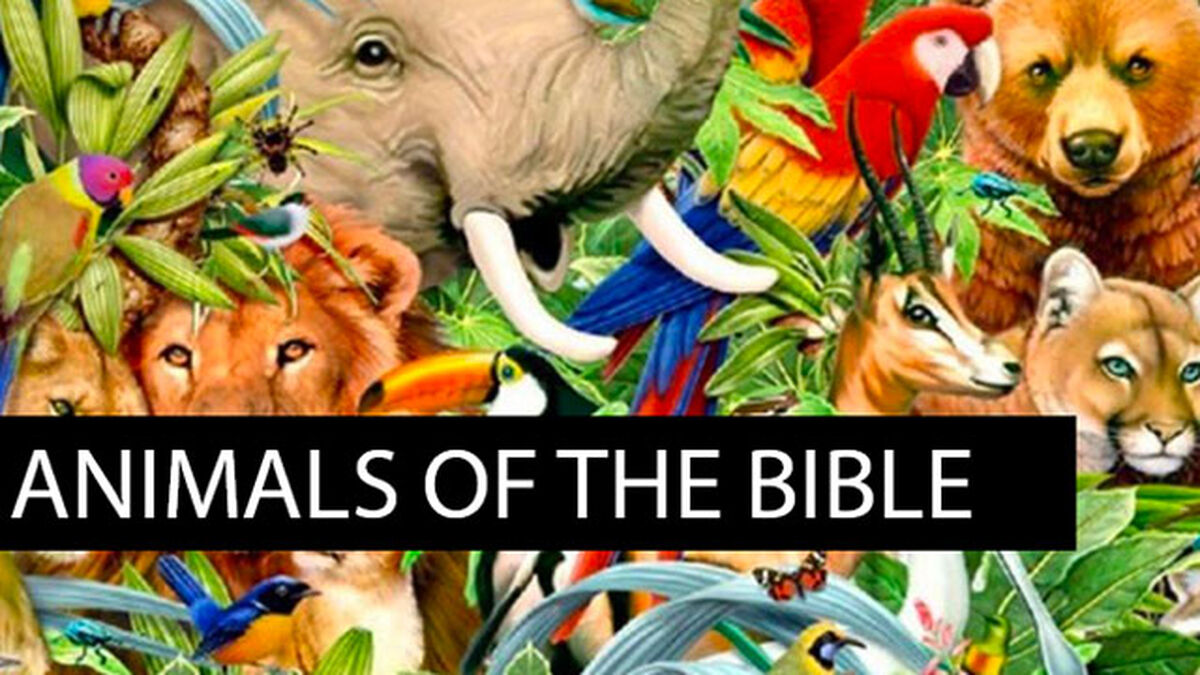 Animals of the Bible: Volume 1 image number null