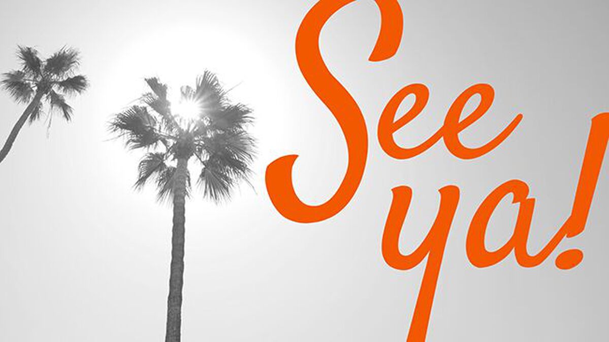 Palm Tree Graphic Pack image number null