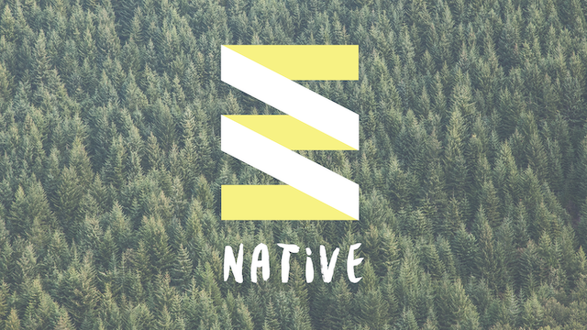 Native image number null