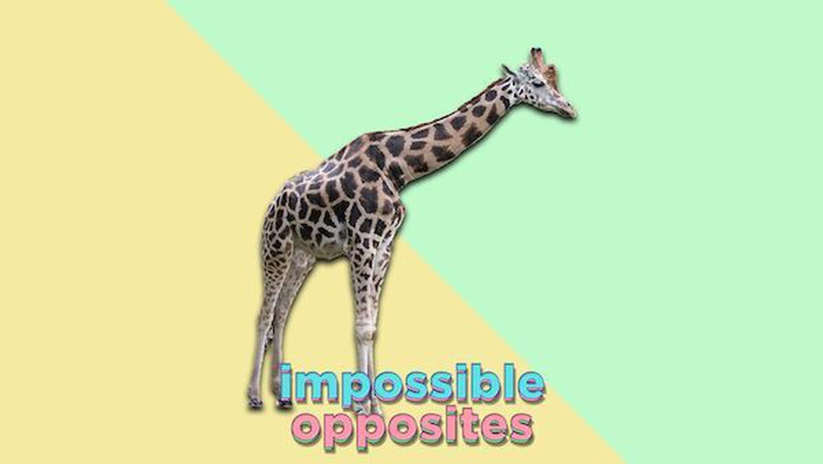 Impossible Opposites image number null