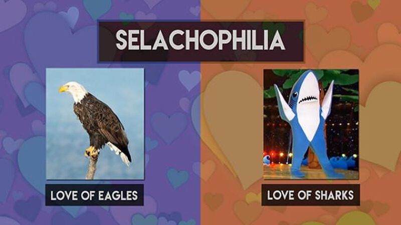 For the Love of _________.