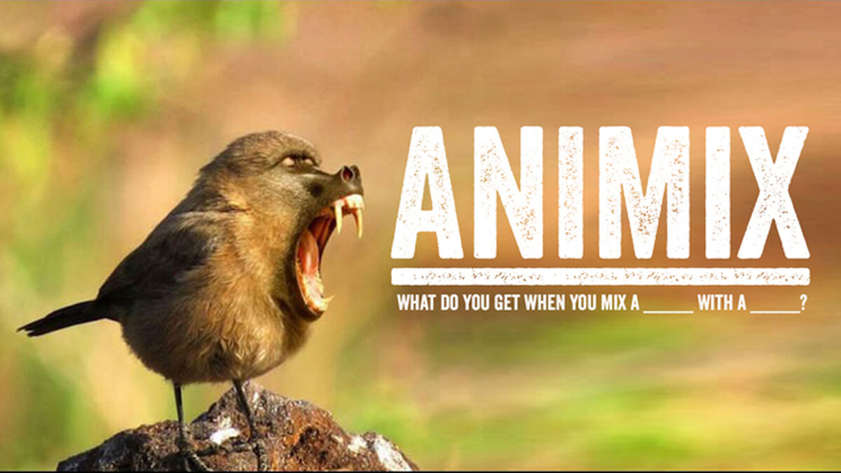 animix animal mashup game