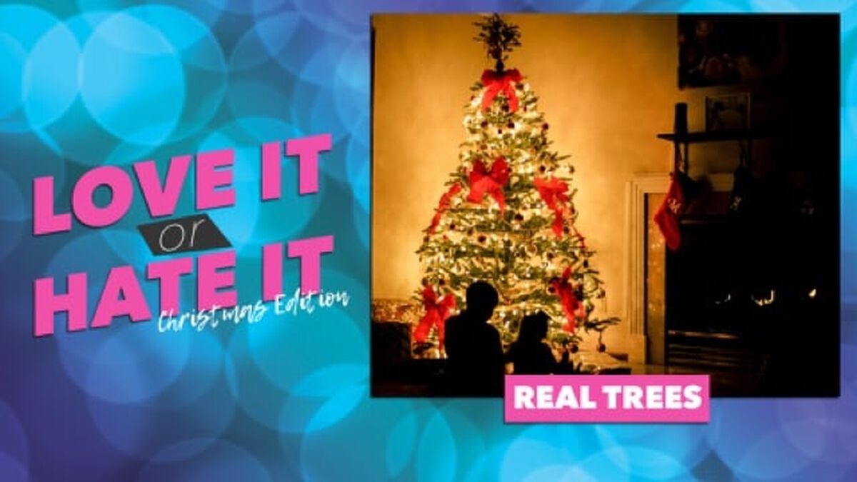 Love it or Hate it: Christmas Edition image number null