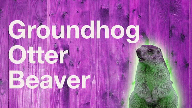 Groundhog Otter Beaver