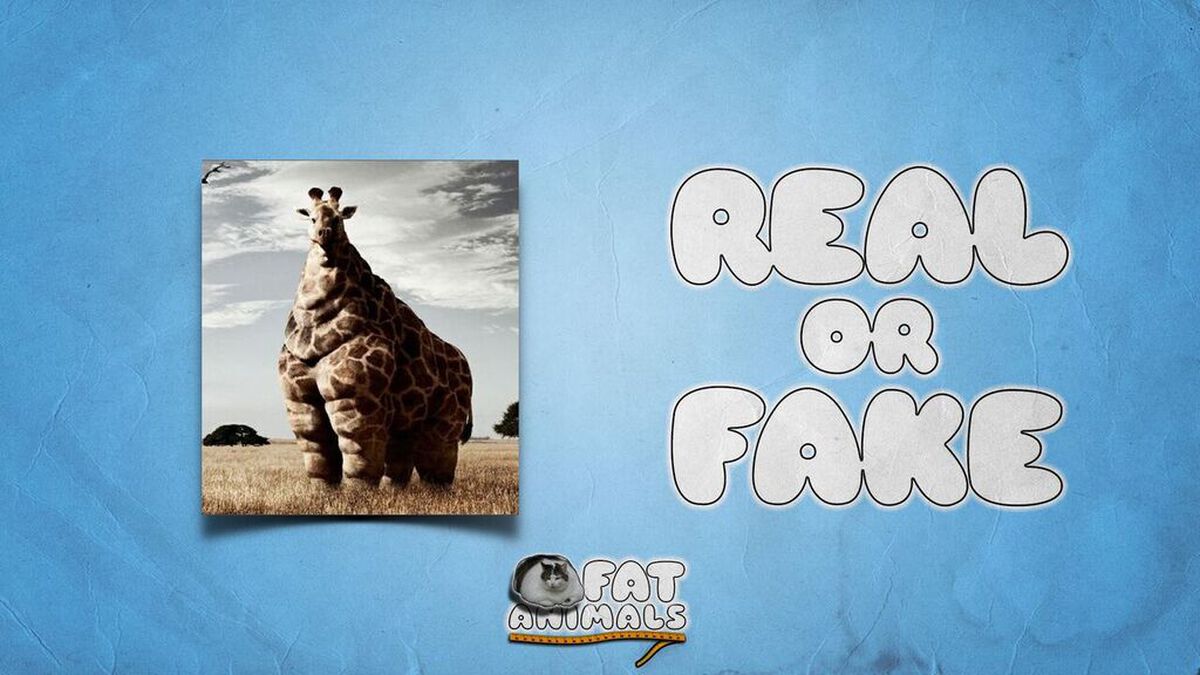 Fat Animals image number null