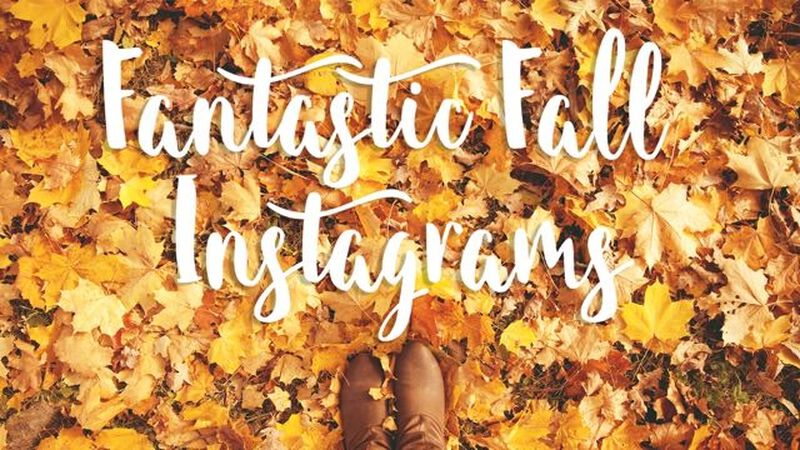 Fantastic Fall Insta Pack