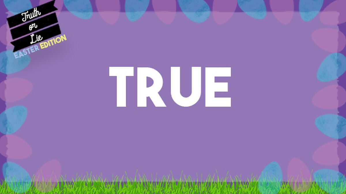Truth or Lie: Easter Edition image number null