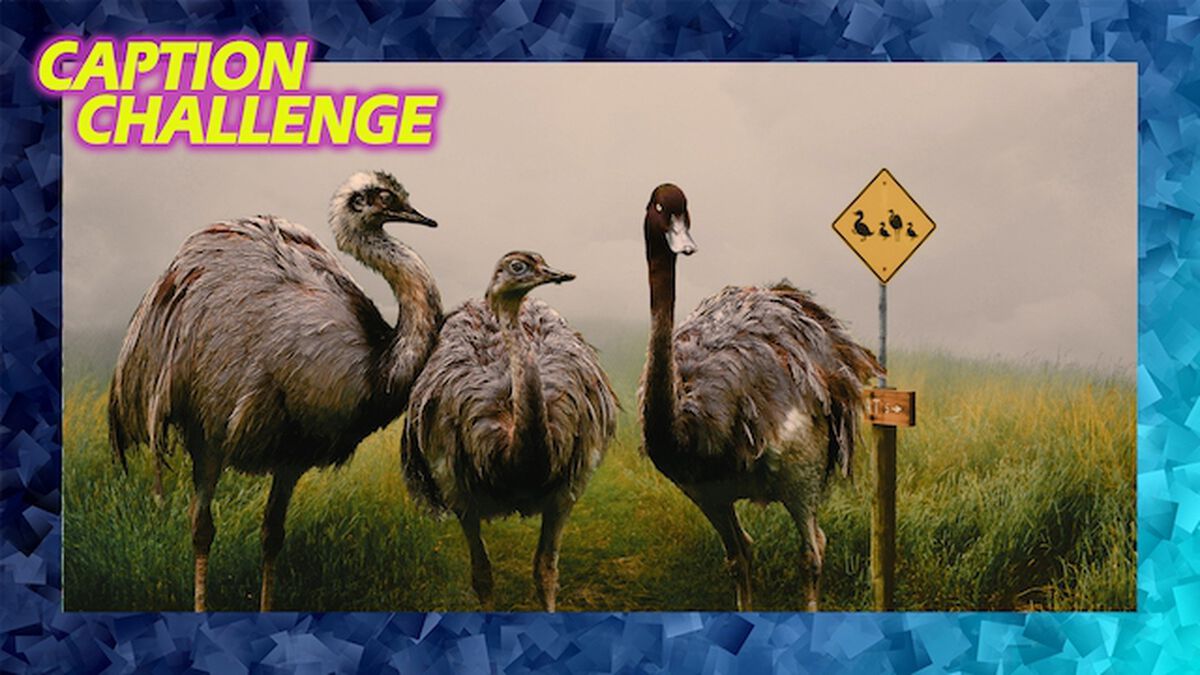 Caption Challenge Vol 2 Instagram and Zoom image number null