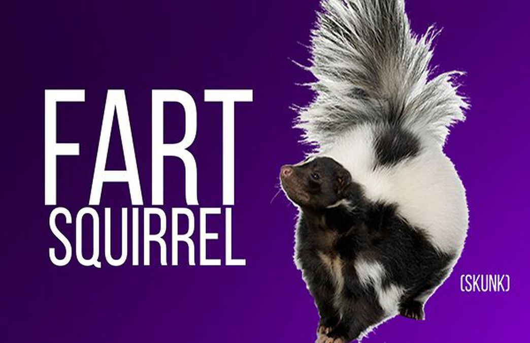 The Internet Names Animals: Volume 1 image number null