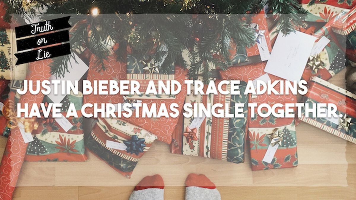 Truth or Lie - Christmas Edition image number null