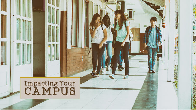 Next Curriculum Bundle: Volume 2