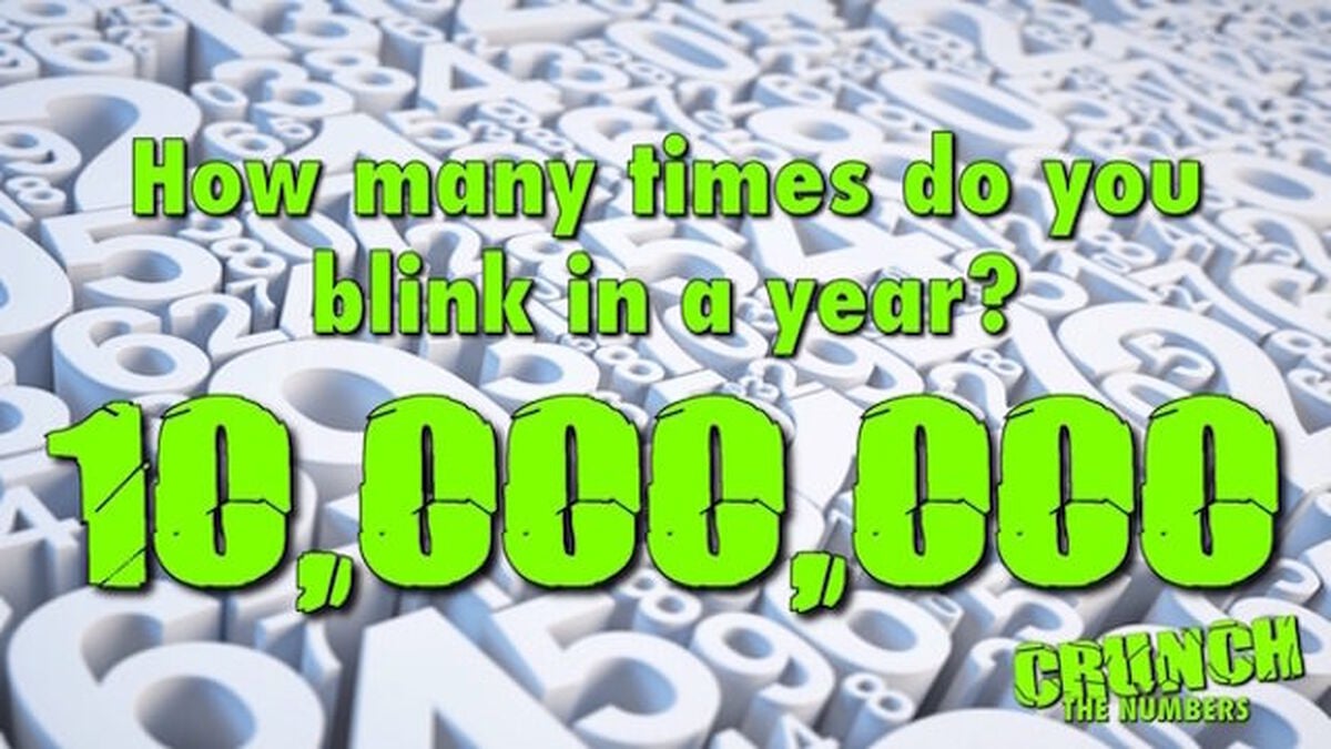 Crunch The Numbers image number null