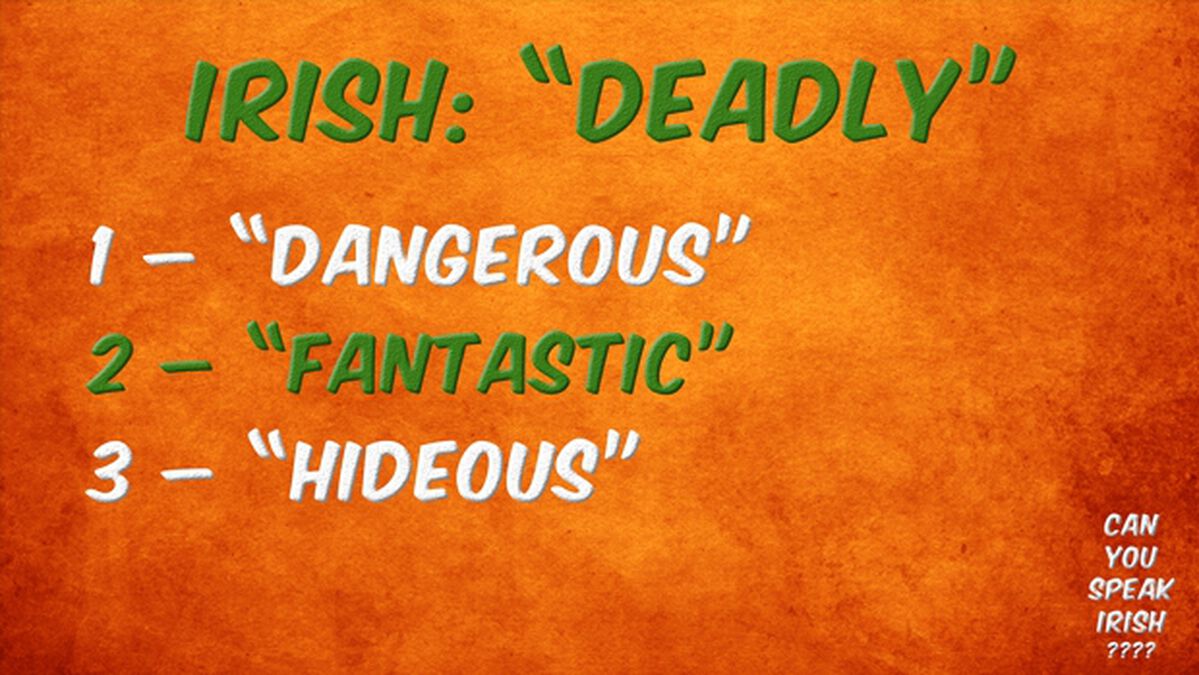 Can You Speak Irish? image number null