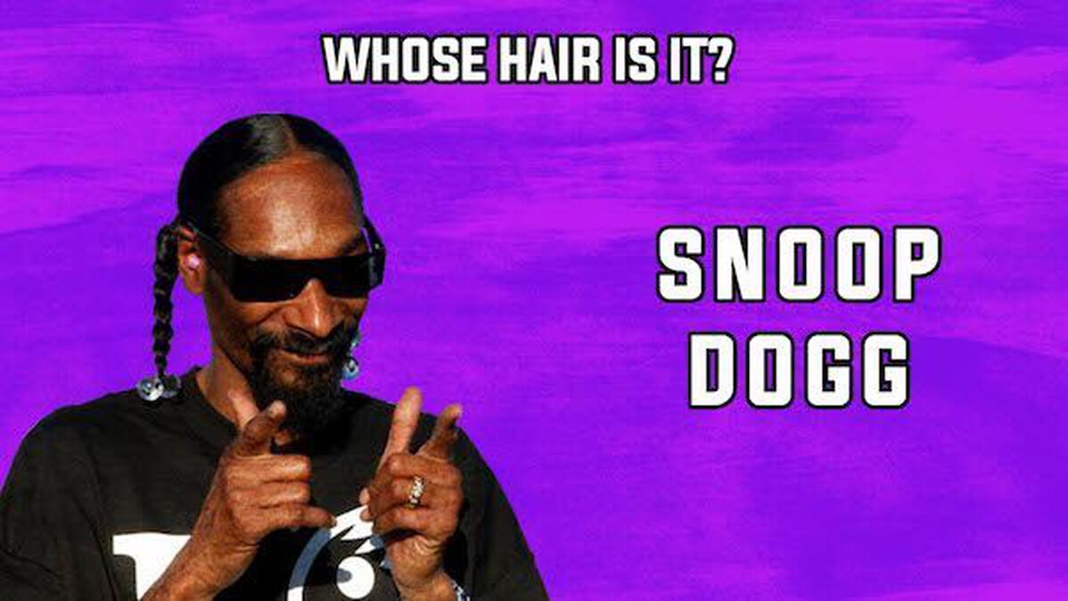 Whose Hair Is It? image number null
