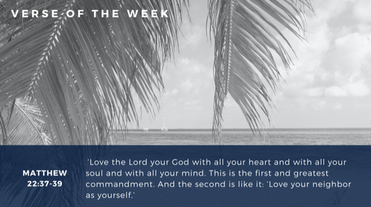 Verse of the Week: Summer Edition image number null